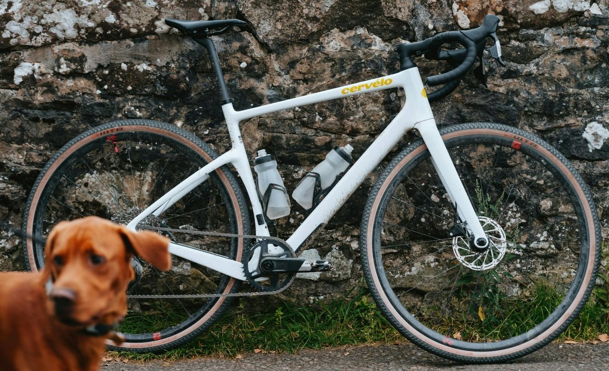 Cervélo Aspero GRX RX610 1x Gravel Bike - Image 3